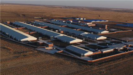 青岡構建產業扶貧&ldquo;2+N&rdquo;打造持續增收主力軍