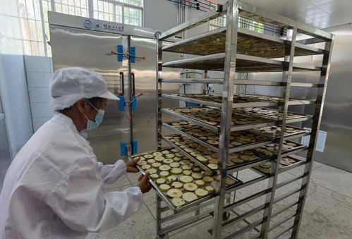 火熱盛夏,鄉(xiāng)村振興如火如荼