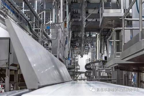 重點項目巡禮之山東雅拉生態(tài)食品產業(yè)園 生產連續(xù)化 加工專業(yè)化 銷售高端化 布局產業(yè)化再創(chuàng)新高