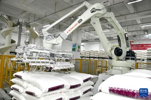 山東兗州 著力培育食品加工產業(yè)