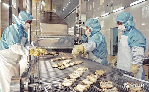 開發三都澳 建設新寧德 三同工程助力水產加工業轉型升級，東僑提升配套服務北部新區產業發展